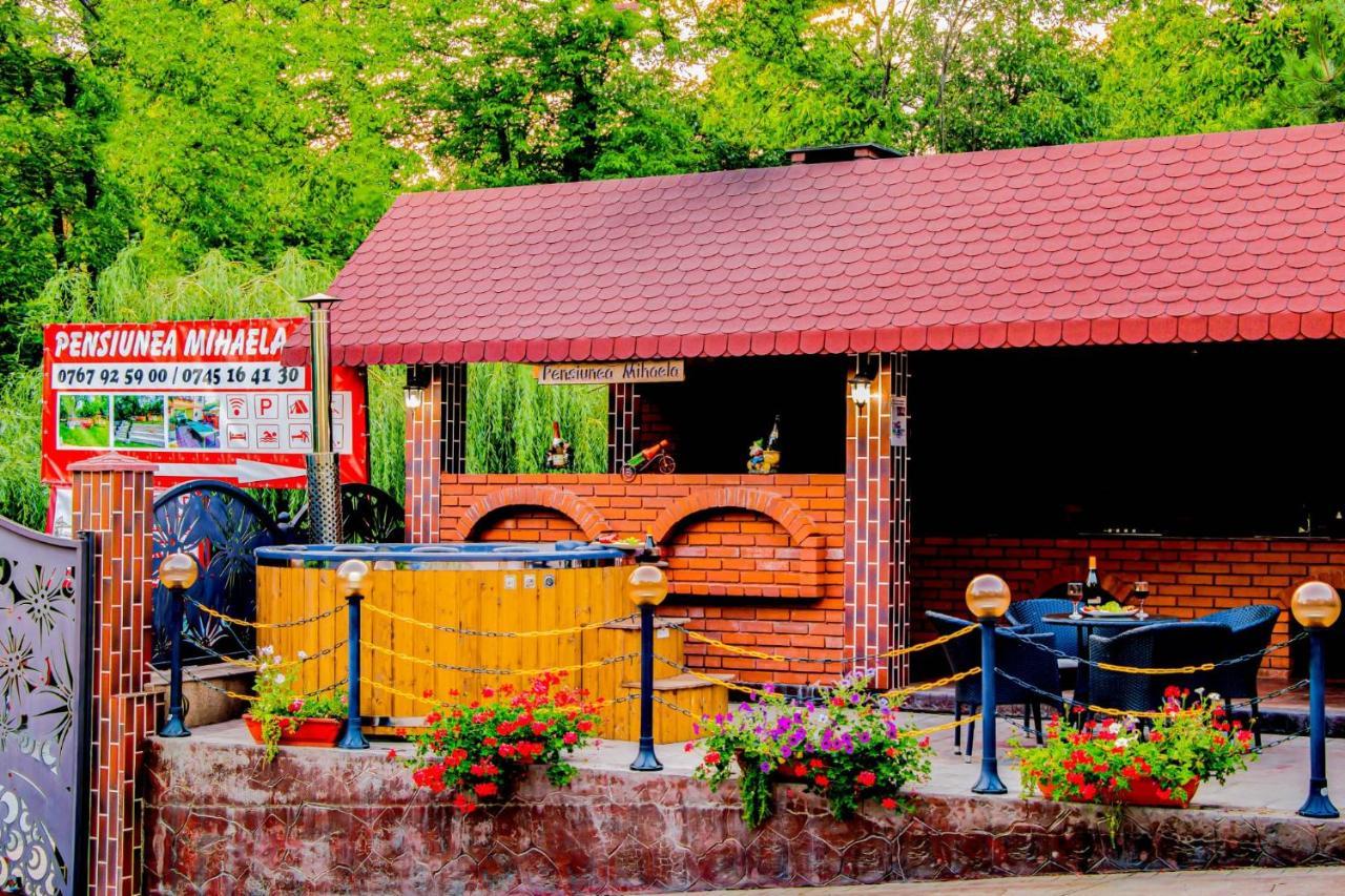 Guest house Pensiunea Mihaela-transalpina