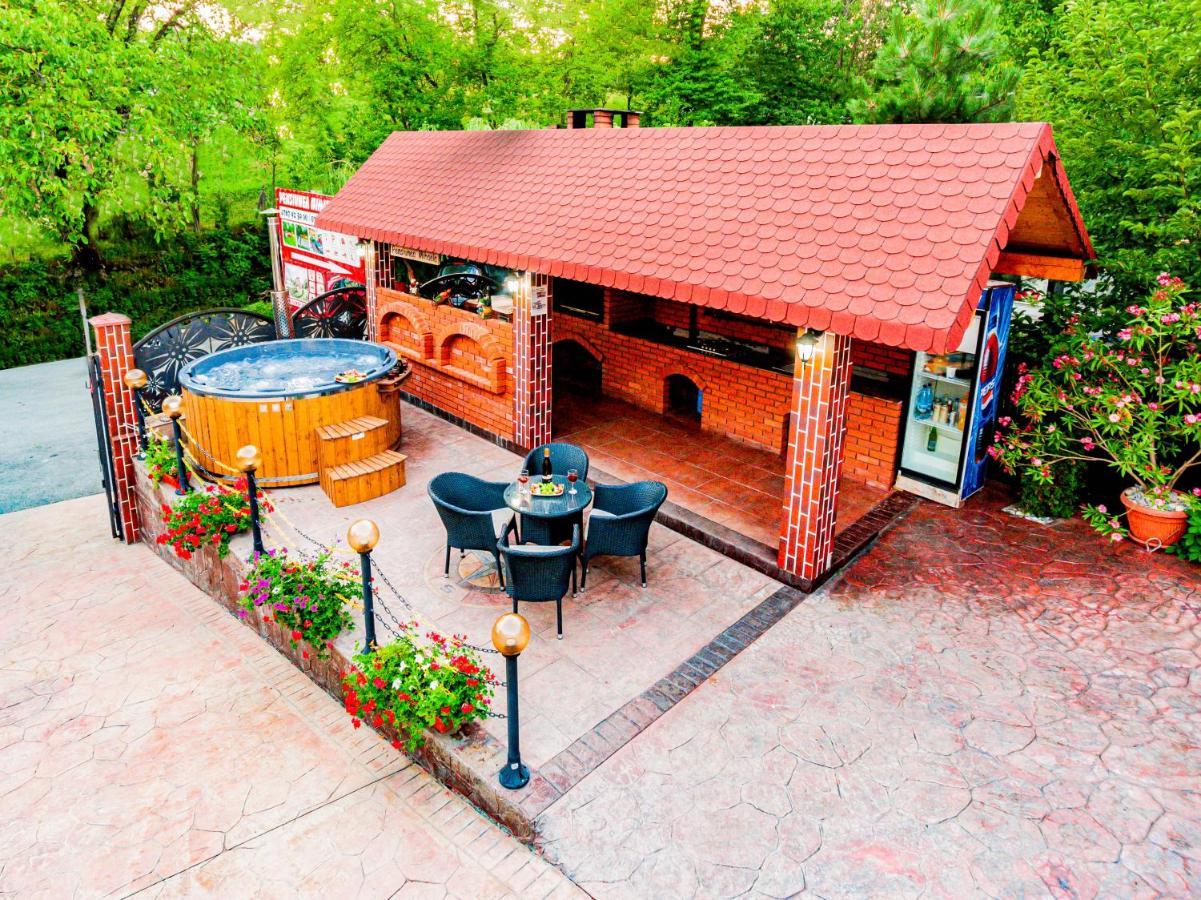 Guest house Pensiunea Mihaela-transalpina