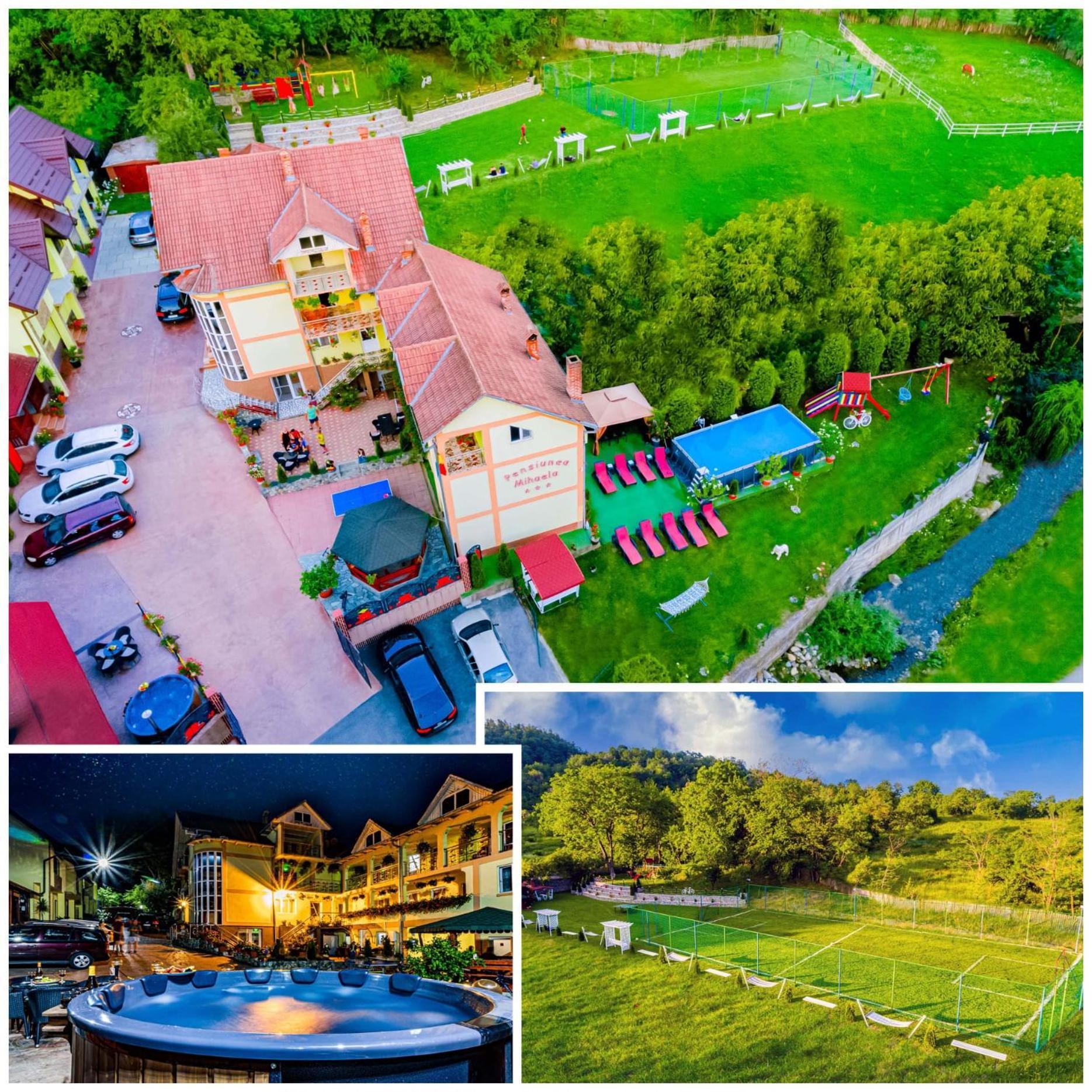 Pensiunea Mihaela-transalpina Guest house 3*
