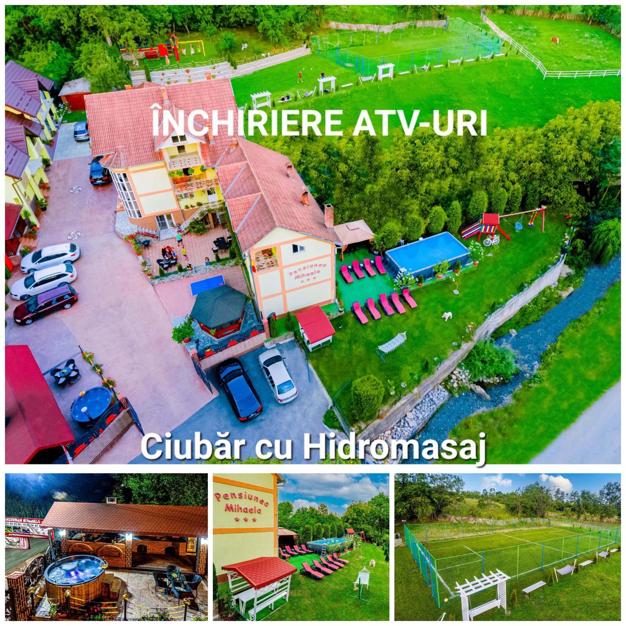 Guest house Pensiunea Mihaela-transalpina Novaci-Straini