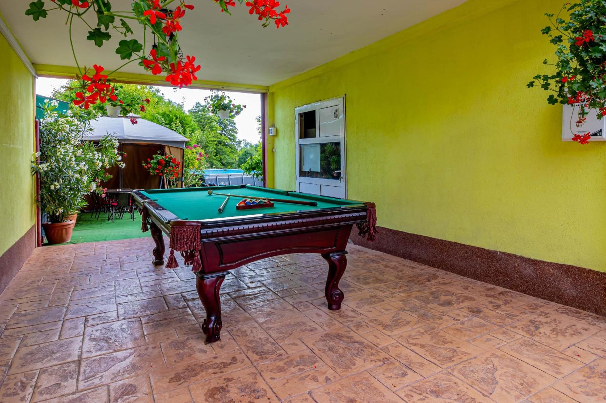 Guest house Pensiunea Mihaela-transalpina