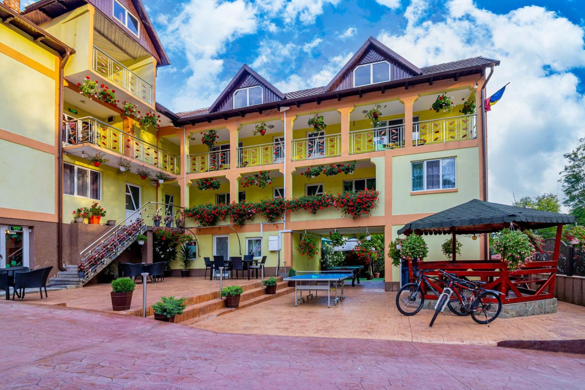 Pensiunea Mihaela-transalpina Guest house