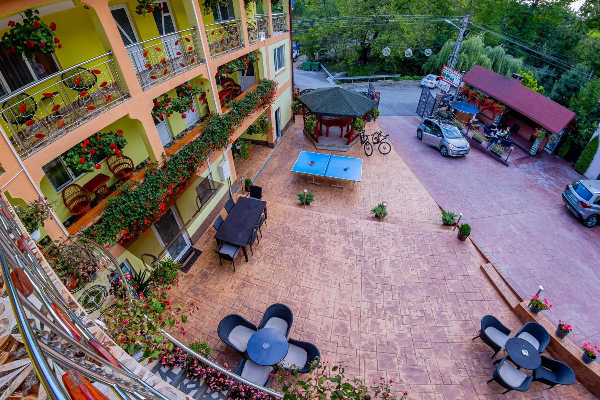 Guest house Pensiunea Mihaela-transalpina 3*