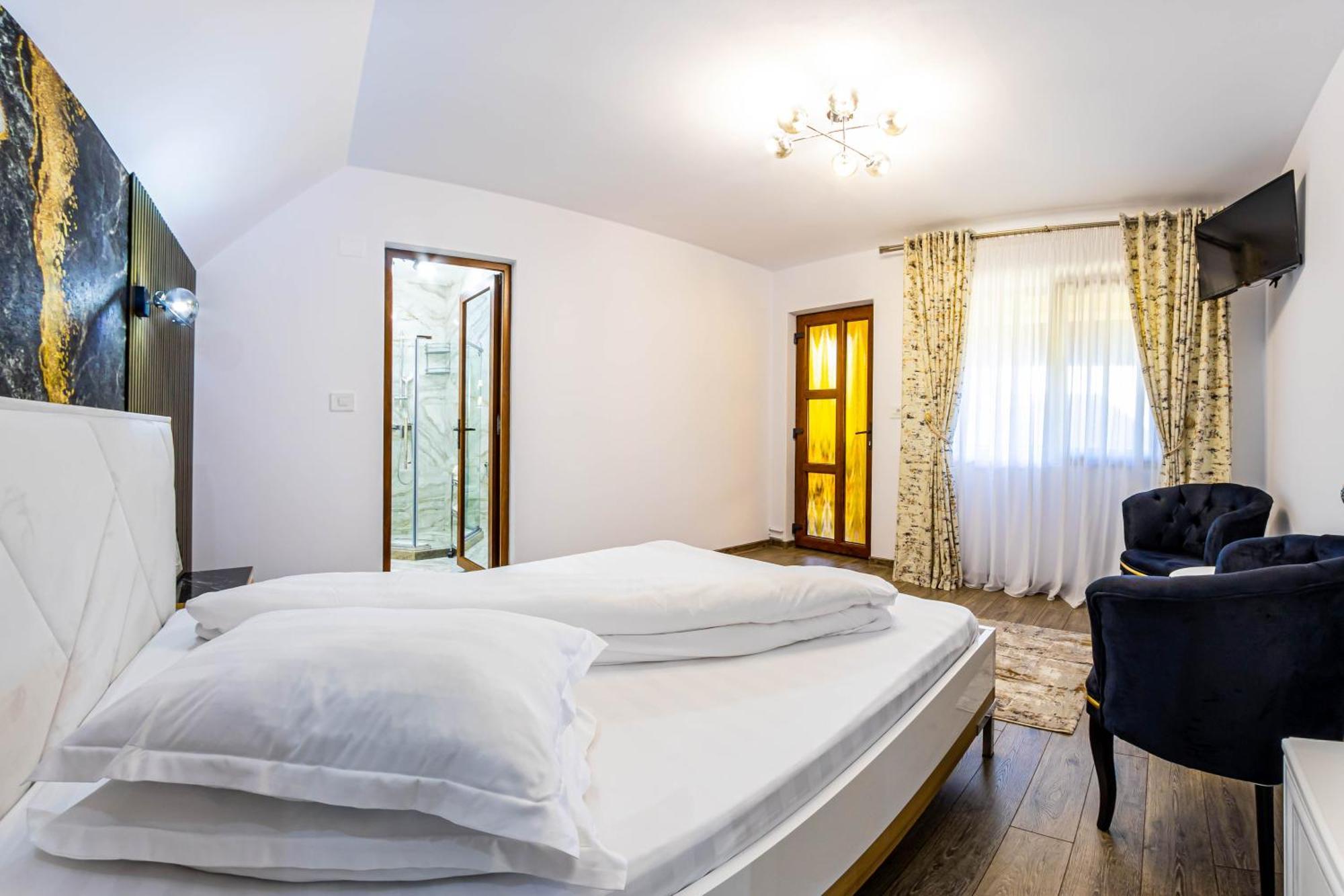 Guest house Pensiunea Mihaela-transalpina 3*