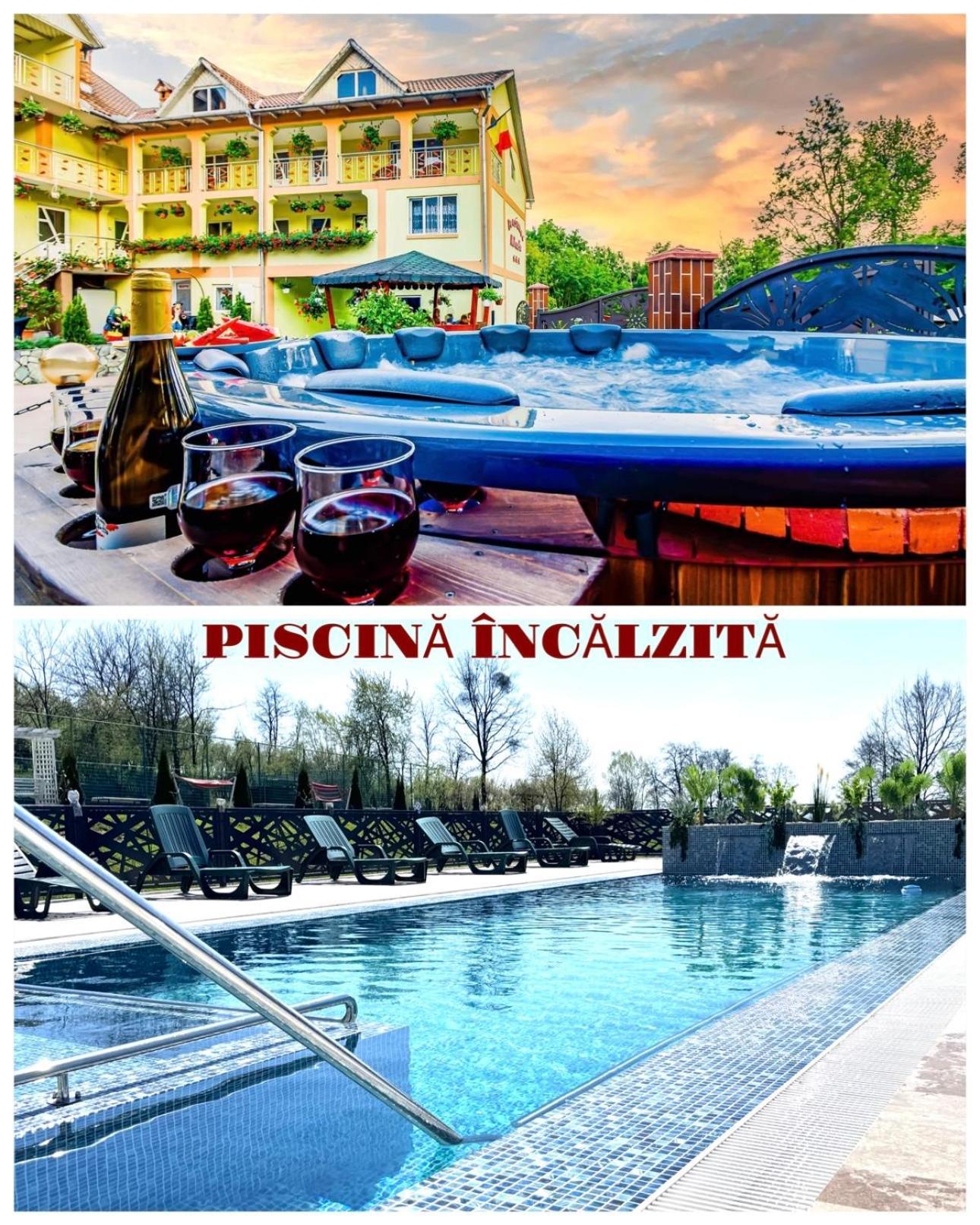 Guest house Pensiunea Mihaela-transalpina 3*