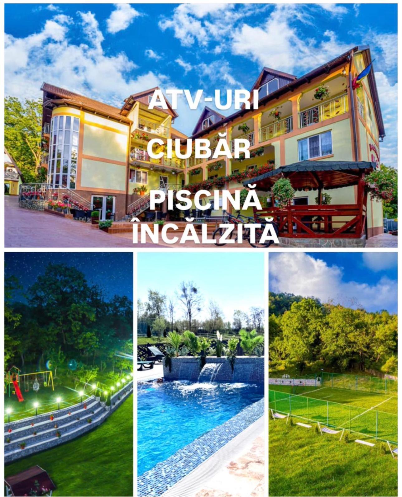 Guest house Pensiunea Mihaela-transalpina 3*