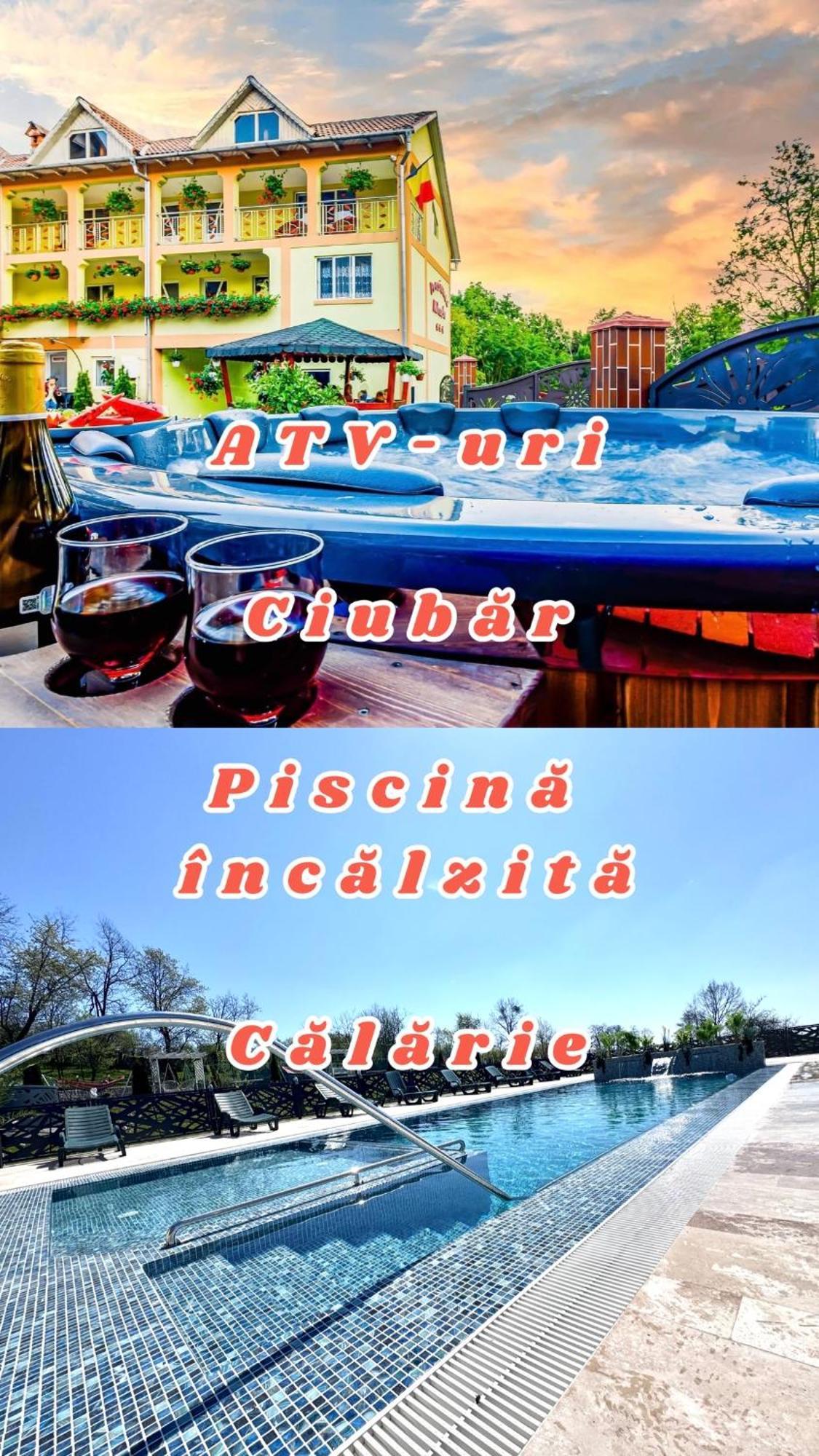 Pensiunea Mihaela-transalpina 3*